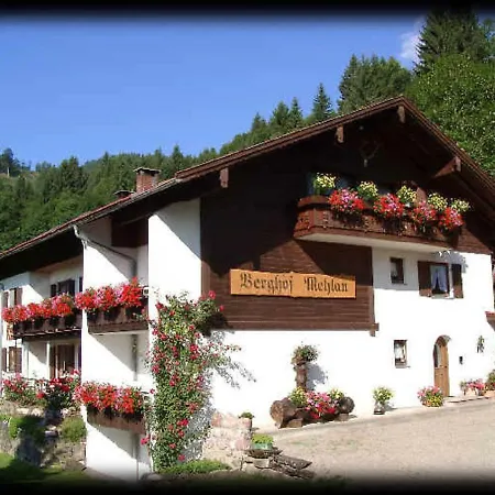 Berghof Mehlan Gæstehus *